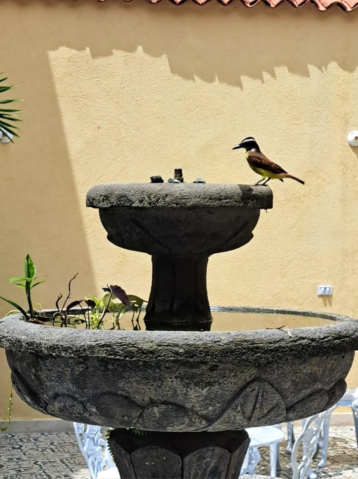 Casa Sileo - Boutique Hotel カリ エクステリア 写真